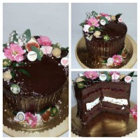 /album/fotogaleria-nove-torticky/a1-jpg3/